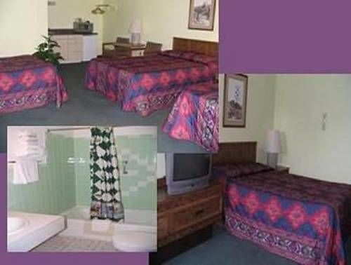 Blue Spruce Motel Lamar Room photo